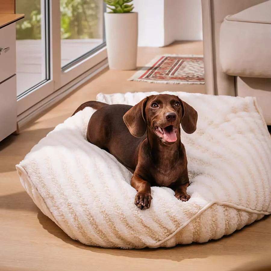 Trendy Striped Pattern Polygonal Calming Bean Bag Dog Bed