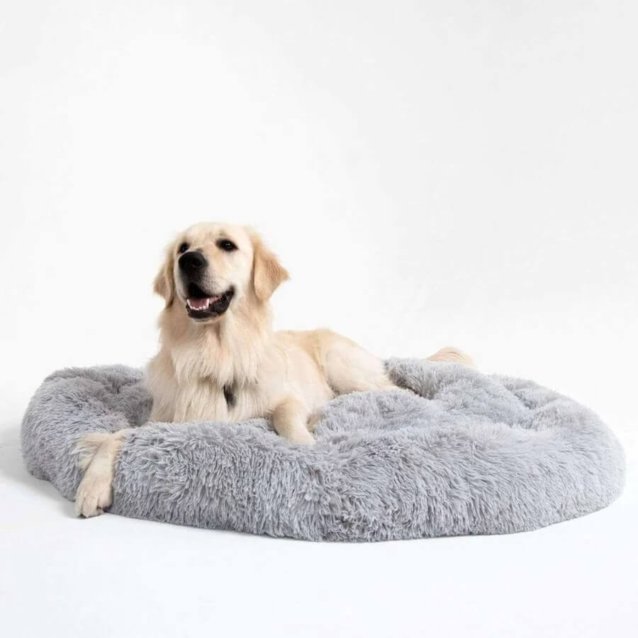Calming Donut Bed