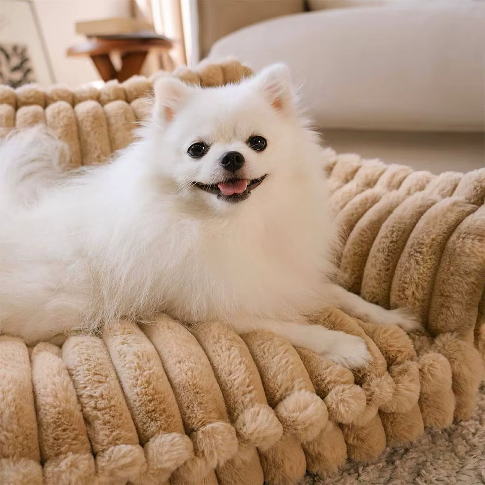 Snoozy Dream – Orthopedic & Washable Dog Sofa Bed for Ultimate Comfort