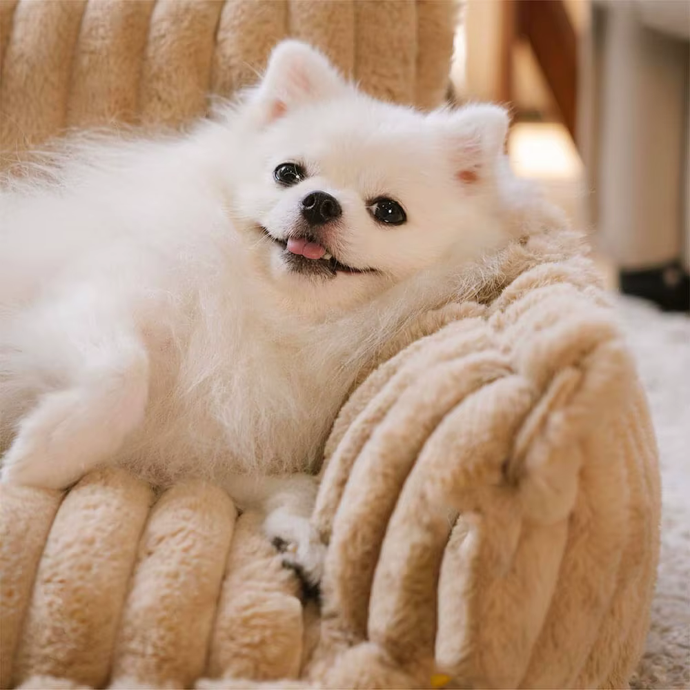 Snoozy Dream – Orthopedic & Washable Dog Sofa Bed for Ultimate Comfort
