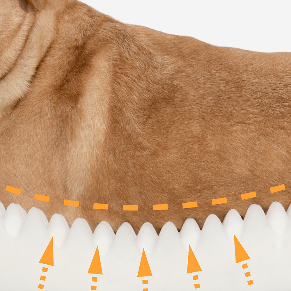 Round Orthopedic Dog Bed