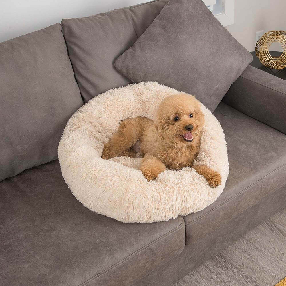 Calming Donut Bed