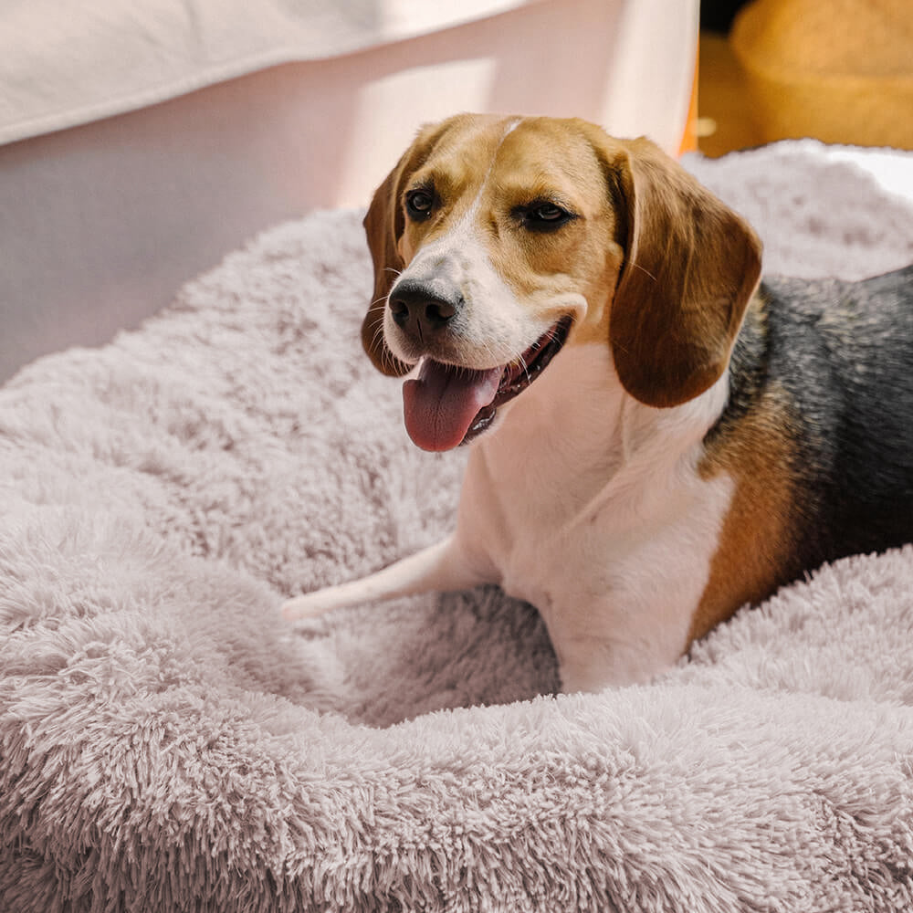 Calming Donut Bed