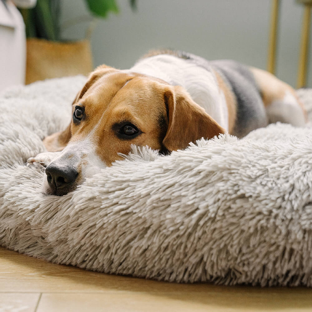 Calming Donut Bed