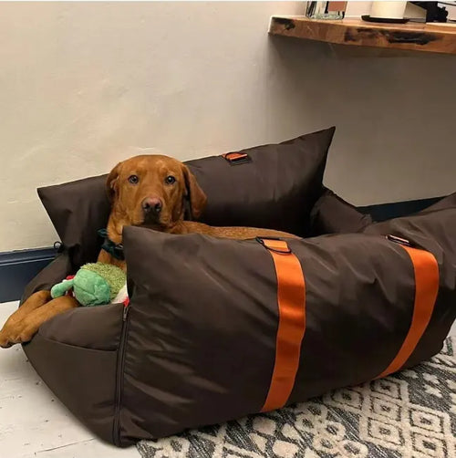 Multifunktionaler Autositz für Hunde und Katzen