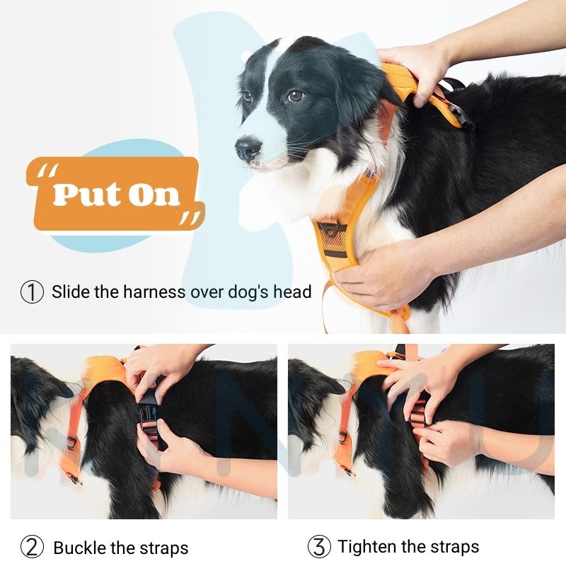 Clip’n’Go™ Built-in Retractable Leash
