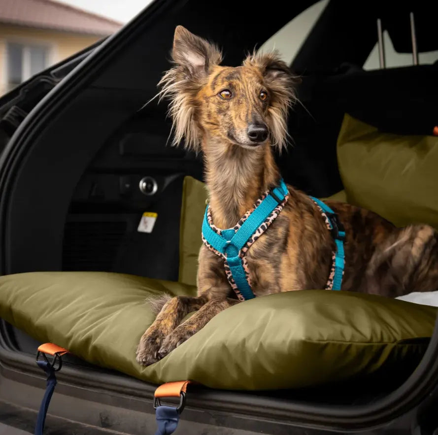Multifunktionaler Autositz für Hunde und Katzen