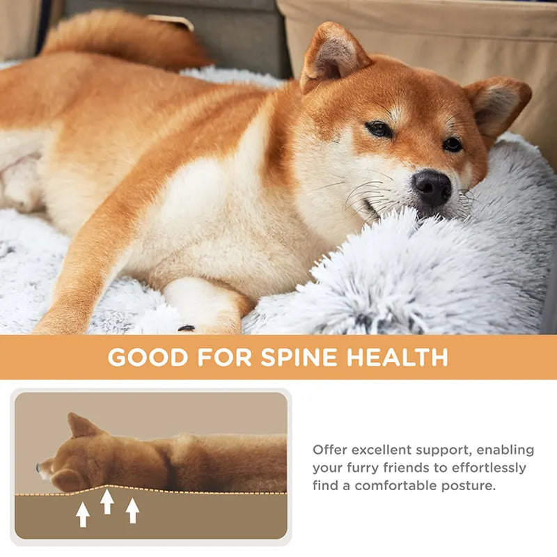 Luxury Super Large Sleep Deeper Oval Bed Human Dog Bed