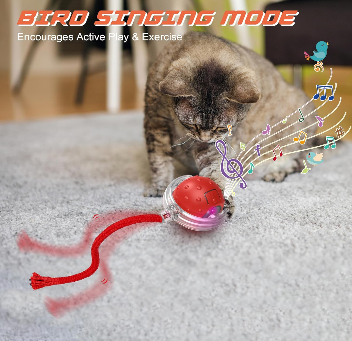Smart Indoor Pet Toy