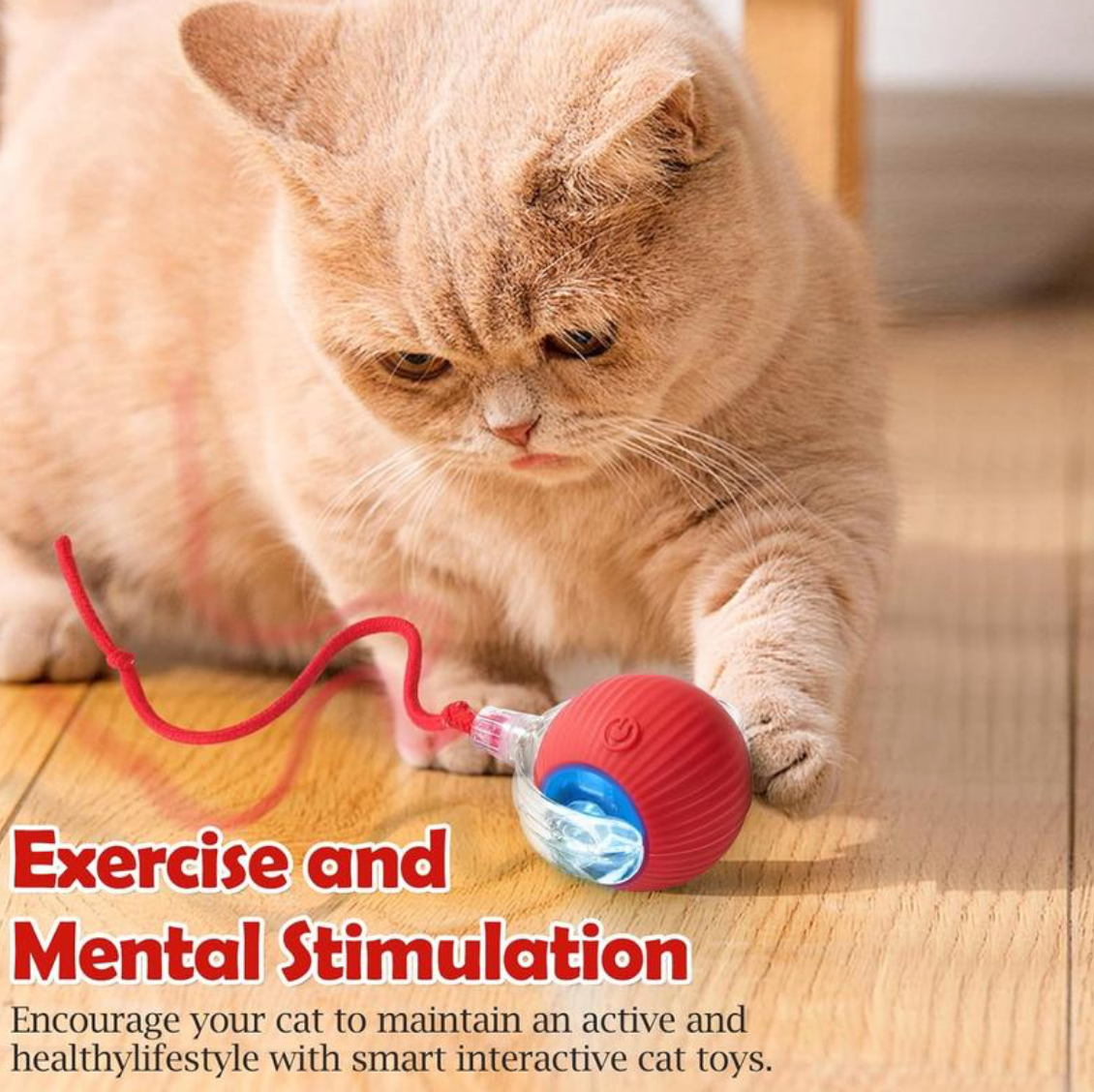 Smart Indoor Pet Toy
