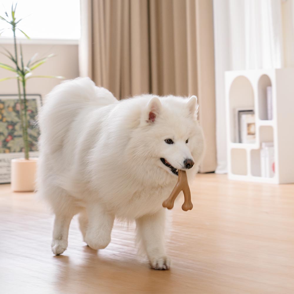 Soothe & Chew – Bacon Delight Dental Stick