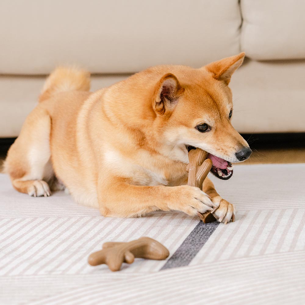 Soothe & Chew – Bacon Delight Dental Stick