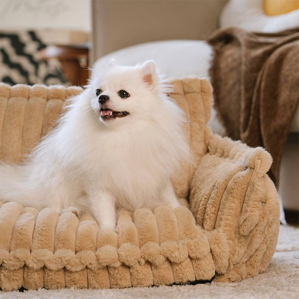 Snoozy Dream – Orthopedic & Washable Dog Sofa Bed for Ultimate Comfort