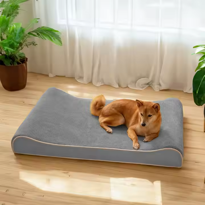Luxurious Nobility Orthopedic Dog Lounge – Royal Comfort & Joint Support in One