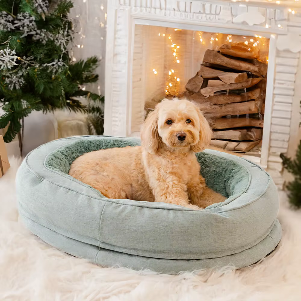Calming Donut Bed – Comfort That Wraps Around