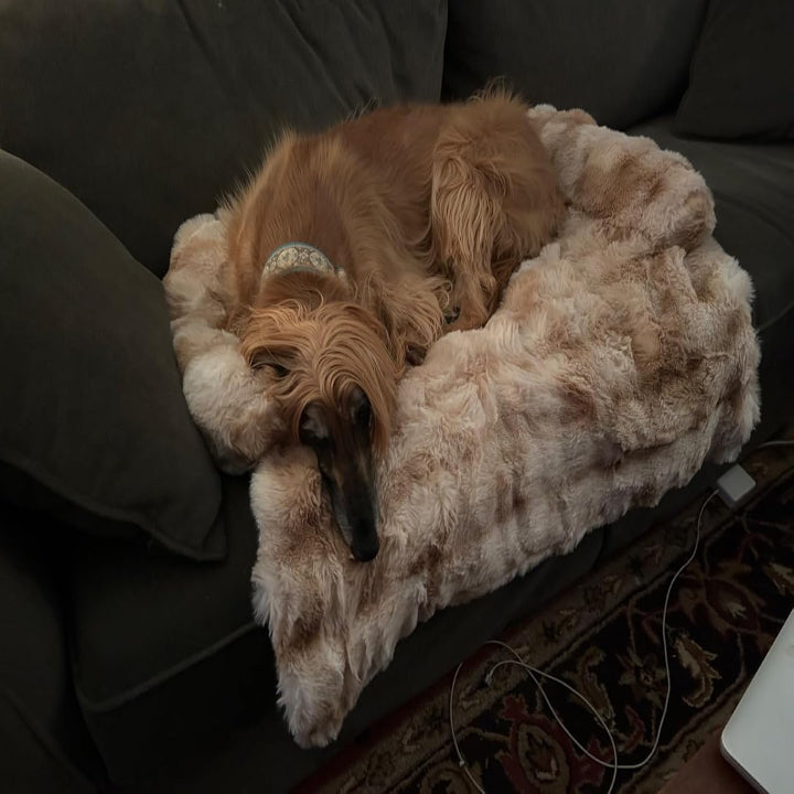 Flauschiges, beruhigendes Hundebett, Sofaschutz, Haustiermatte