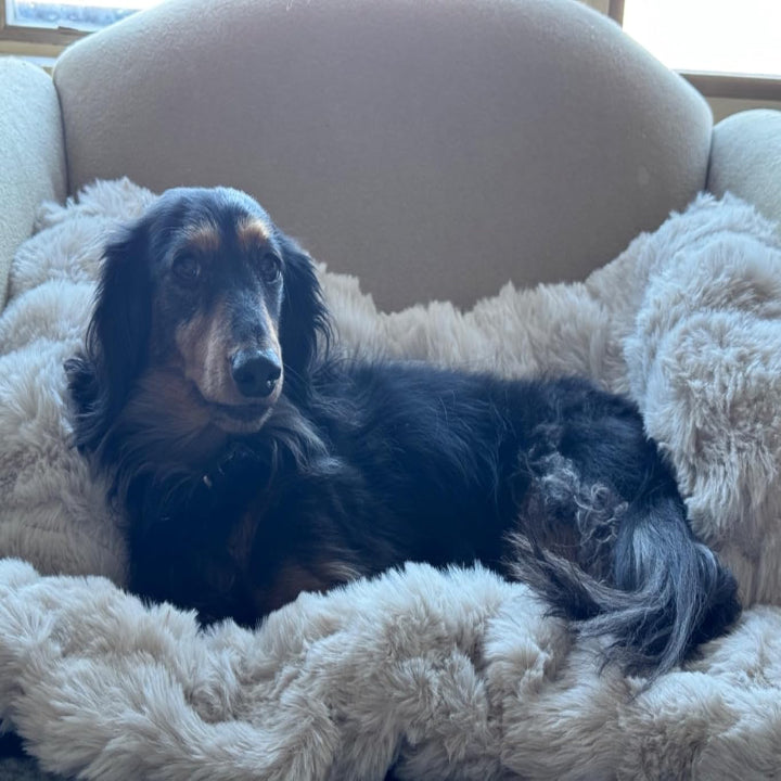 Flauschiges, beruhigendes Hundebett, Sofaschutz, Haustiermatte