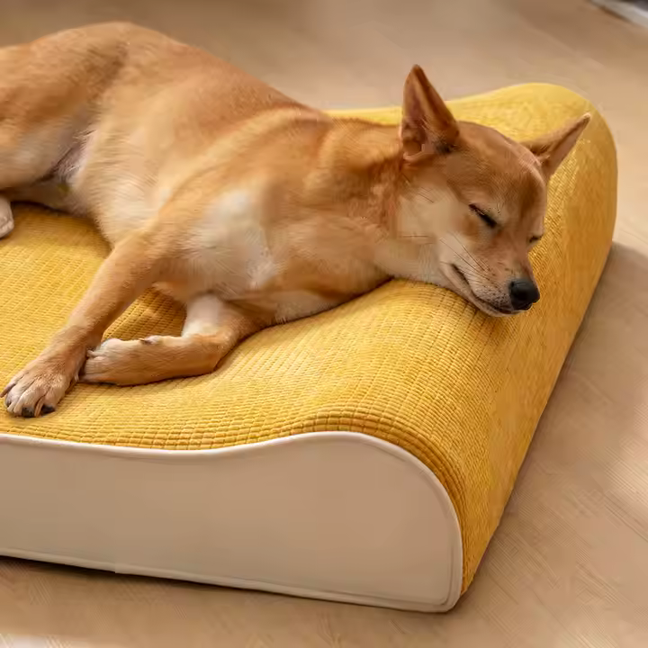 Luxurious Nobility Orthopedic Dog Lounge – Royal Comfort & Joint Support in One