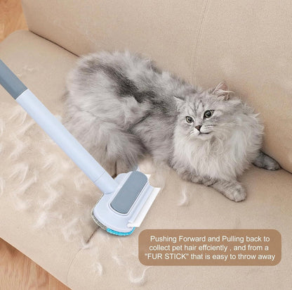 Multi-Functional Pet Hair and Window Cleaner