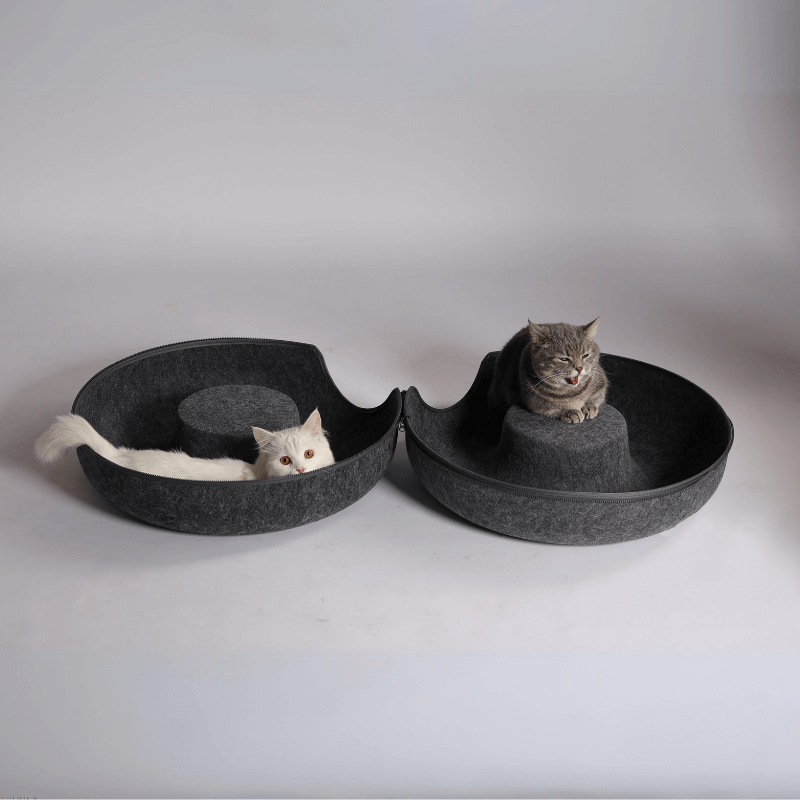 CozyPaws Cat Cave – Dual Bed & Tunnel Hideout for Play and Rest