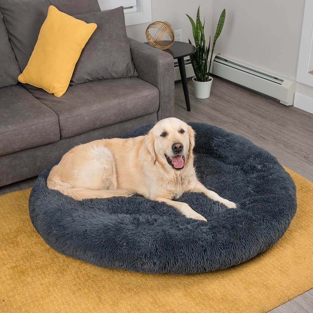 Calming Donut Bed
