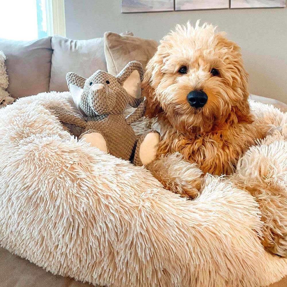 Calming Donut Bed