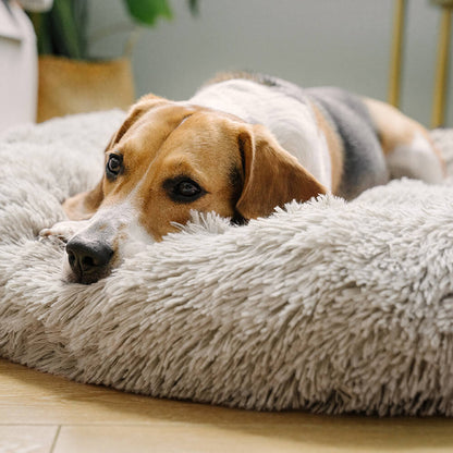 Calming Donut Bed