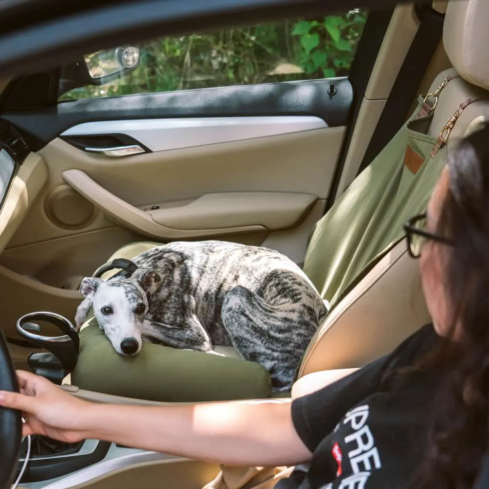 Reisepolster, Sicherheitsrücksitz, großes Hundeautositzbett – Schachbrett-Lounge