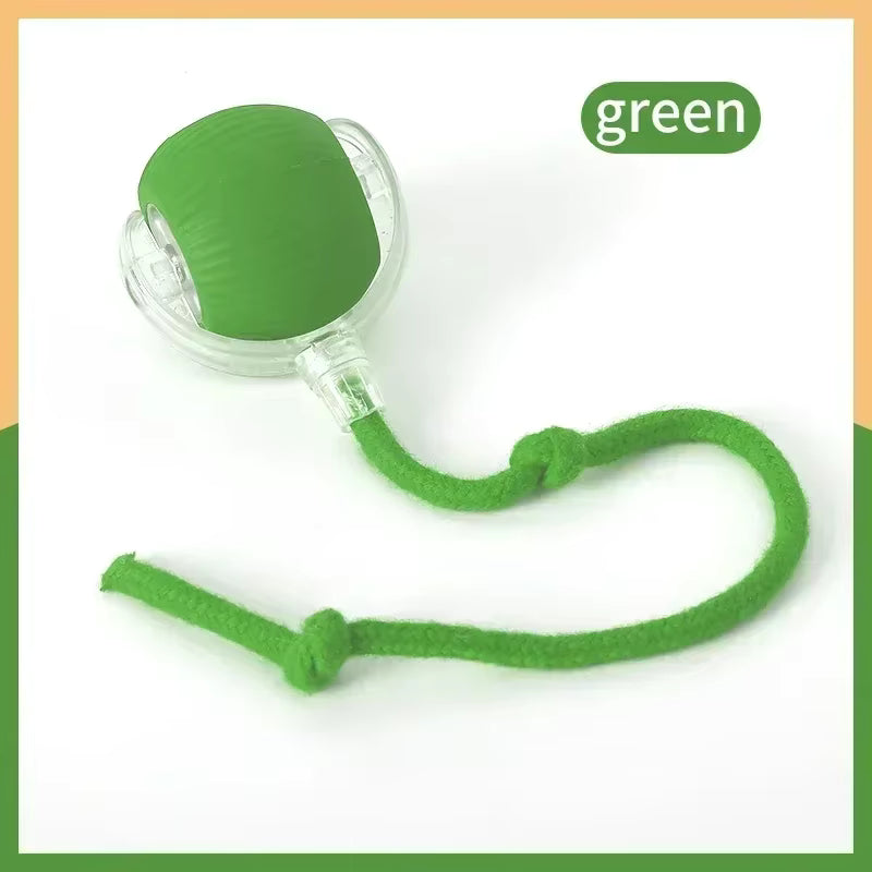 Smart Indoor Pet Toy
