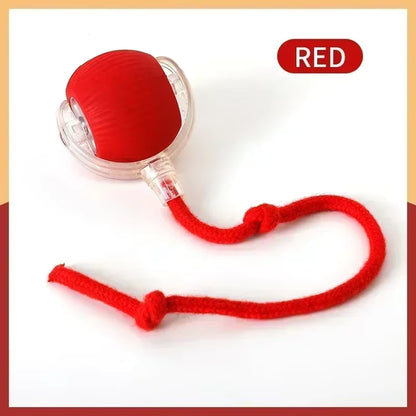 Smart Indoor Pet Toy