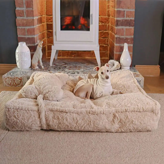 Wärmendes, flauschiges Hundebett in Knochenwolkenform, beruhigend