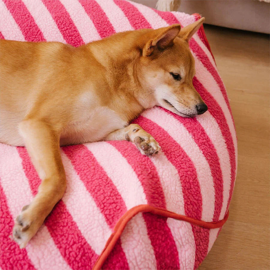 Trendy Striped Pattern Polygonal Calming Bean Bag Dog Bed