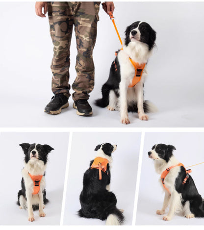 Clip’n’Go™ Built-in Retractable Leash