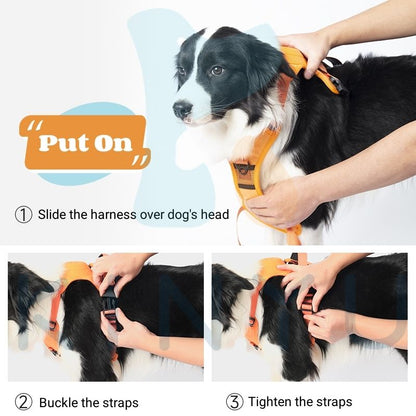 Clip’n’Go™ Built-in Retractable Leash