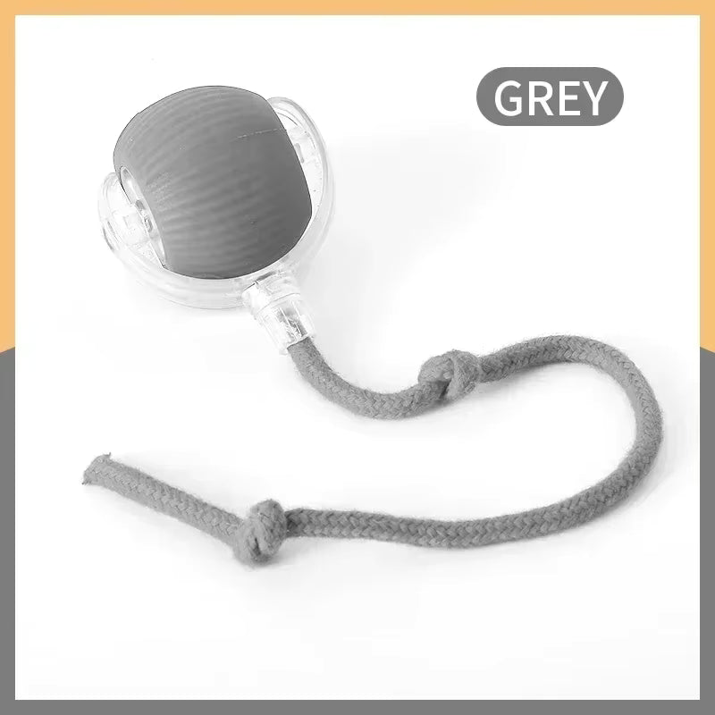 Smart Indoor Pet Toy