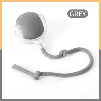 Smart Indoor Pet Toy