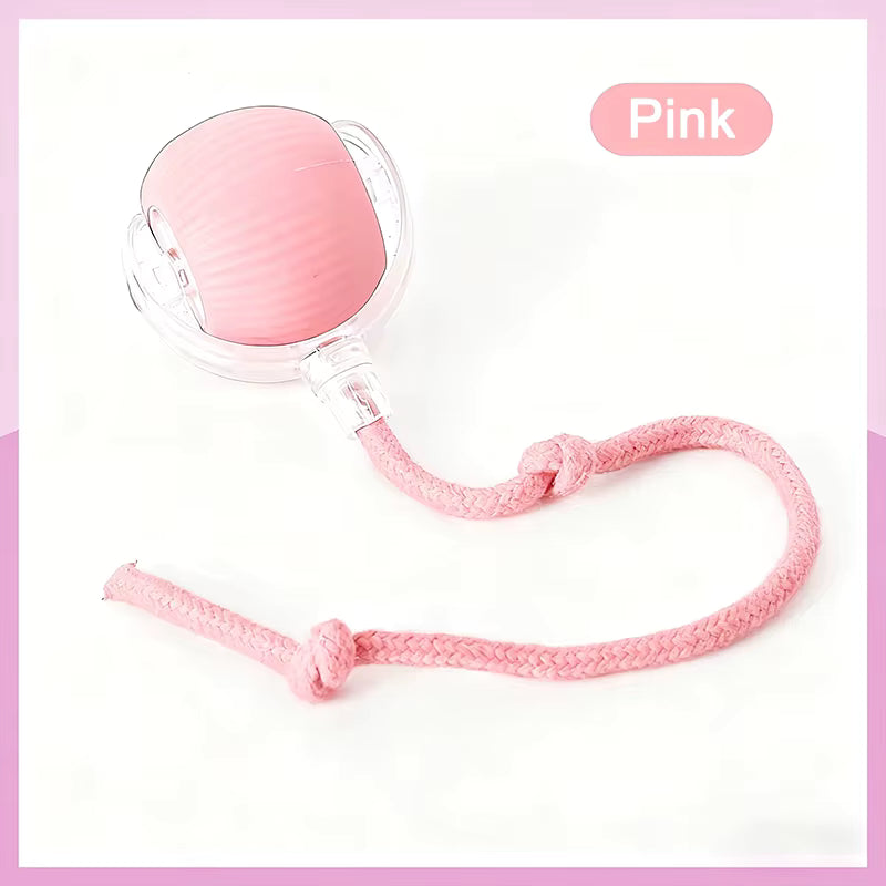 Smart Indoor Pet Toy