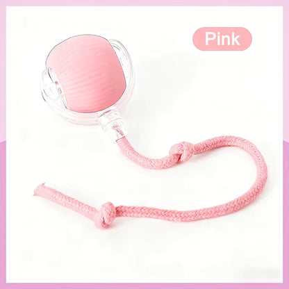 Smart Indoor Pet Toy