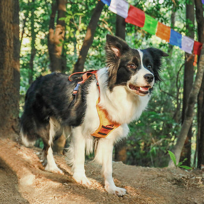 Clip’n’Go™ Built-in Retractable Leash