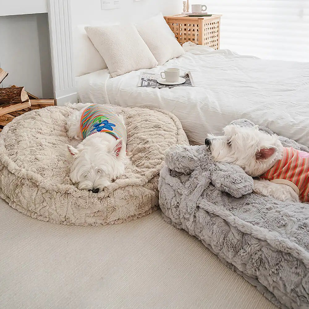 Wärmendes, flauschiges Hundebett in Knochenwolkenform, beruhigend