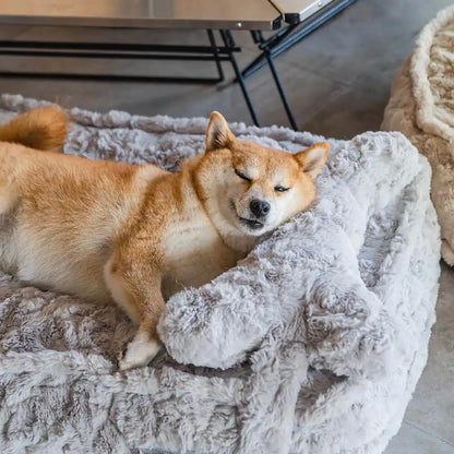 Wärmendes, flauschiges Hundebett in Knochenwolkenform, beruhigend