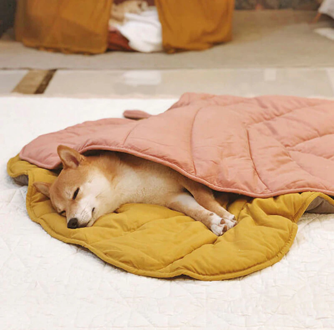Leaf Shape Dog Blanket