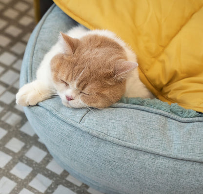 Leaf Shape Dog Blanket