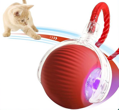 Smart Indoor Pet Toy