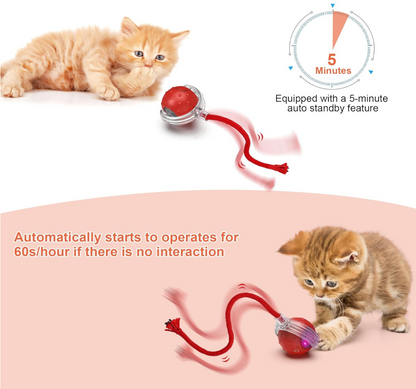 Smart Indoor Pet Toy