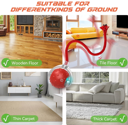 Smart Indoor Pet Toy