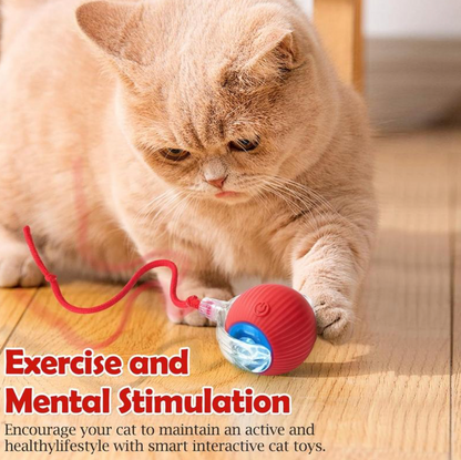 Smart Indoor Pet Toy
