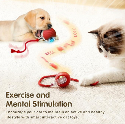Smart Indoor Pet Toy