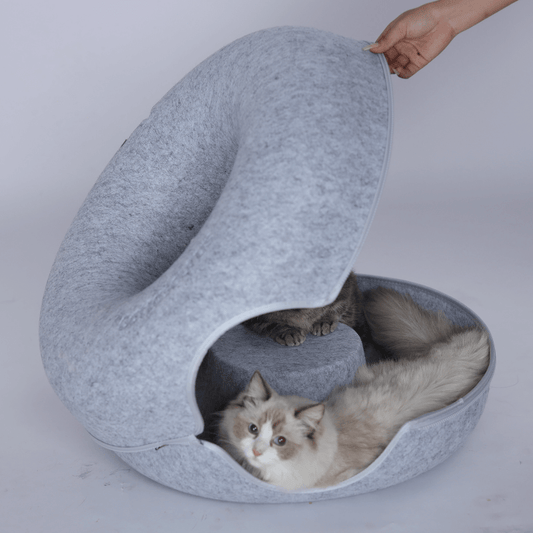 CozyPaws Cat Cave – Dual Bed & Tunnel Hideout for Play and Rest