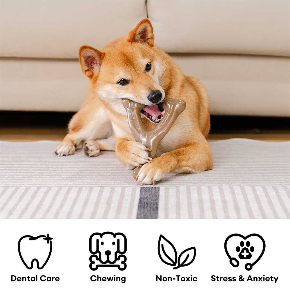 Soothe & Chew – Bacon Delight Dental Stick